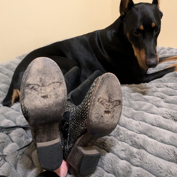 Freebird Coal grey Python multi - Picture 4 of 6